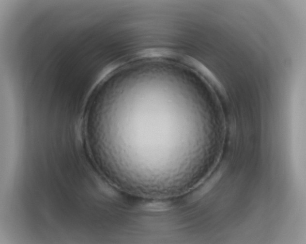 X0000113531178200909250900