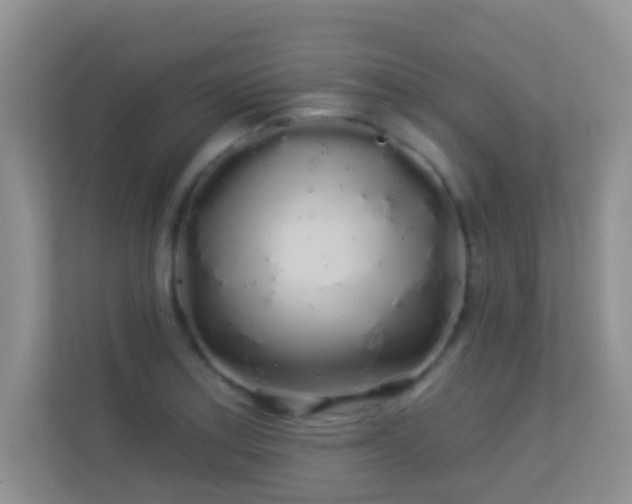 X0000113531179200909250900