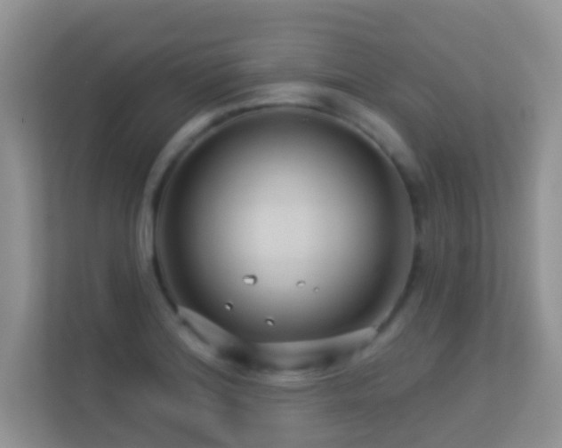 X0000113531180200909250900