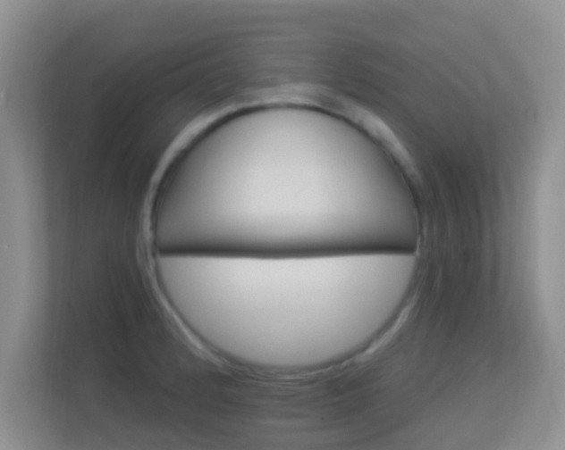 X0000113531184200909250900