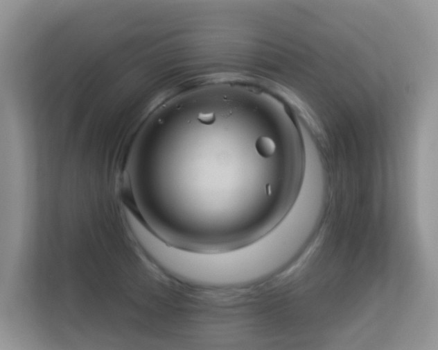 X0000113531185200909250900