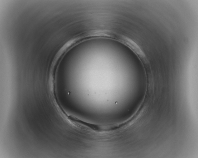 X0000113531188200909250900