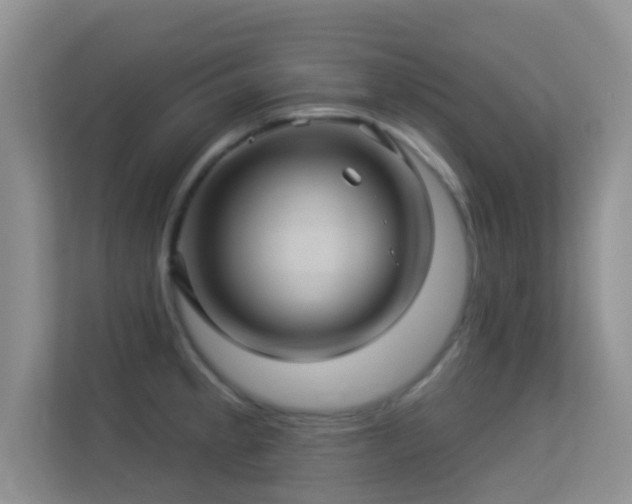 X0000113531189200909250900