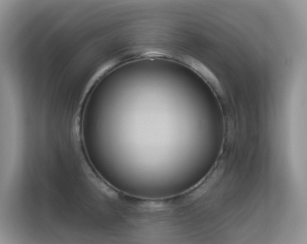 X0000113531190200909250900