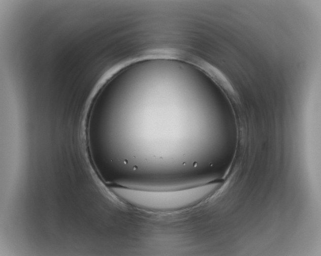 X0000113531192200909250900
