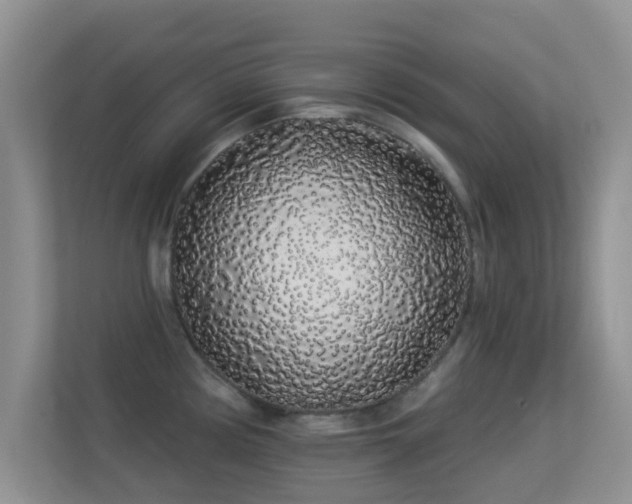 X0000113531194200909250900