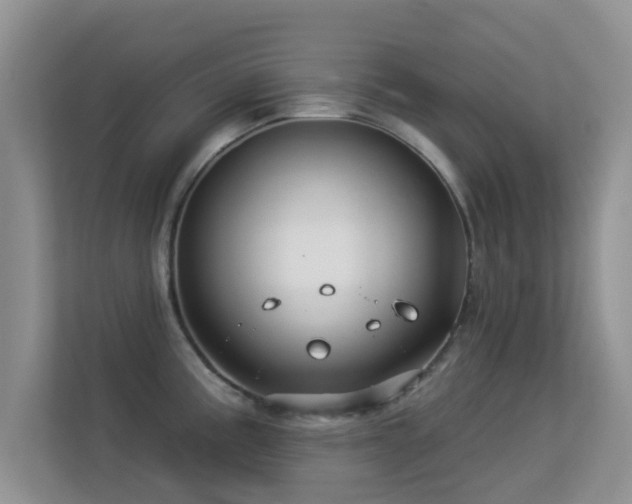 X0000113531195200909250859