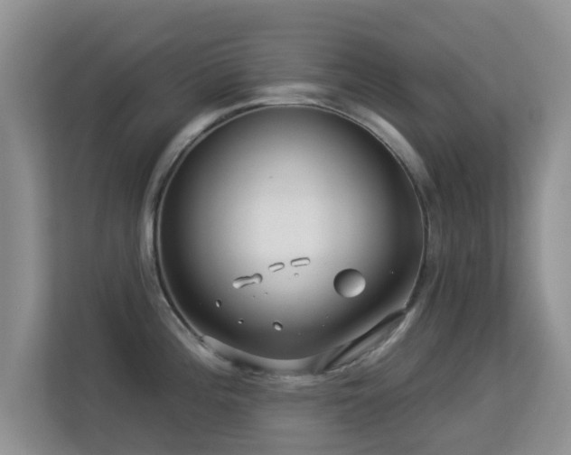 X0000113531196200909250859