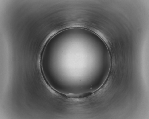 X0000113531197200909250859