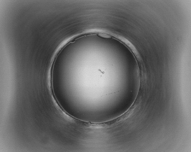 X0000113531199200909250859