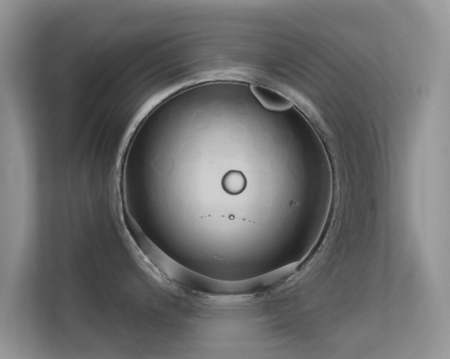 X0000113531200200909250859