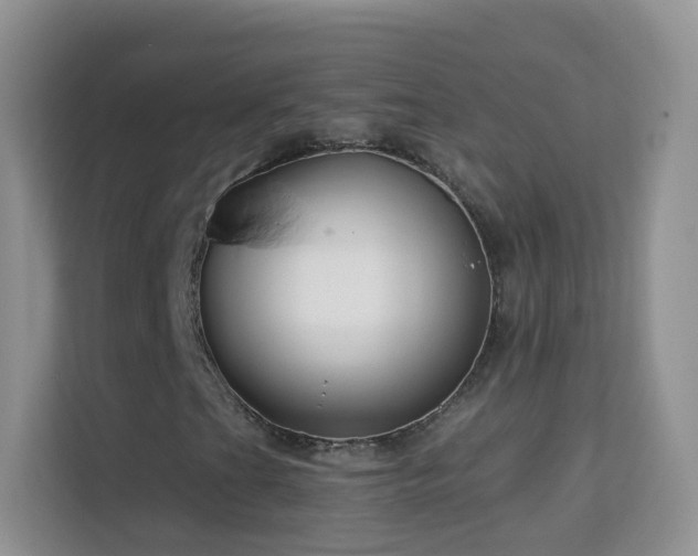 X0000113531201200909250859