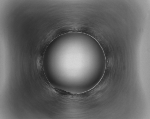 X0000113531202200909250859