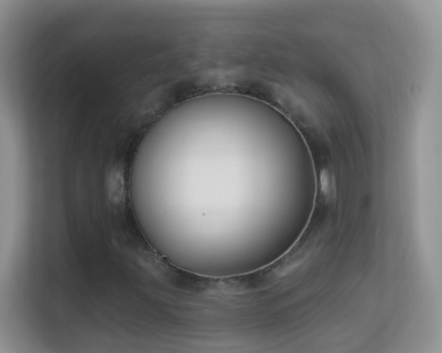 X0000113531203200909250859