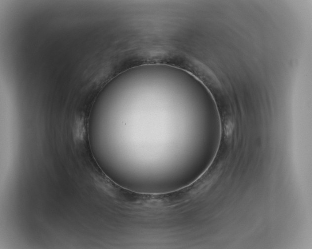 X0000113531204200909250859