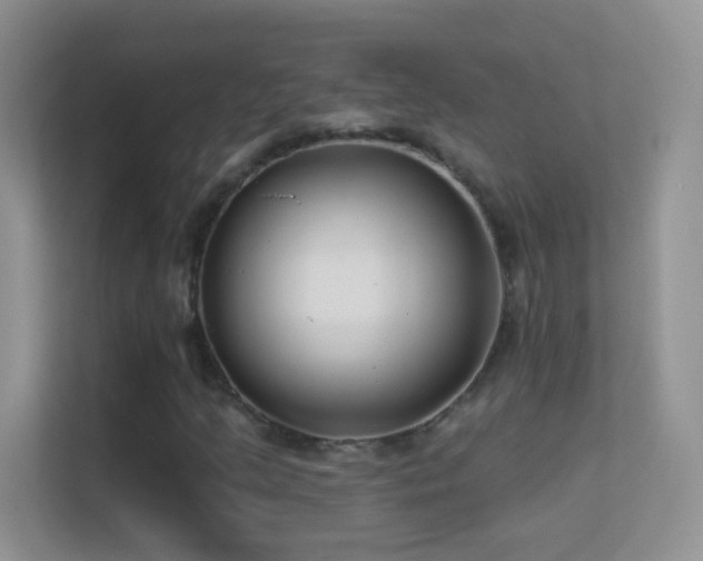 X0000113531205200909250859