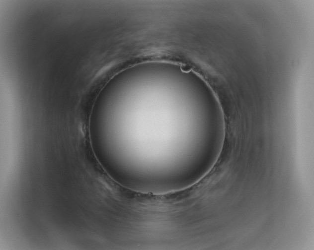 X0000113531206200909250859