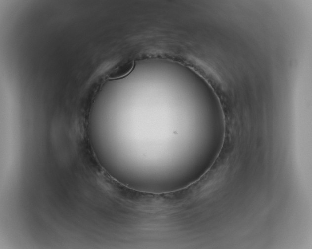X0000113531207200909250859