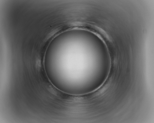 X0000113531209200909250859