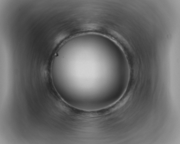 X0000113531210200909250859