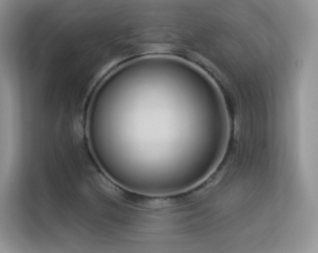 X0000113531212200909250859