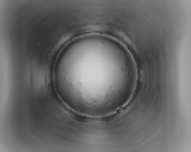 X0000113531213200909250859