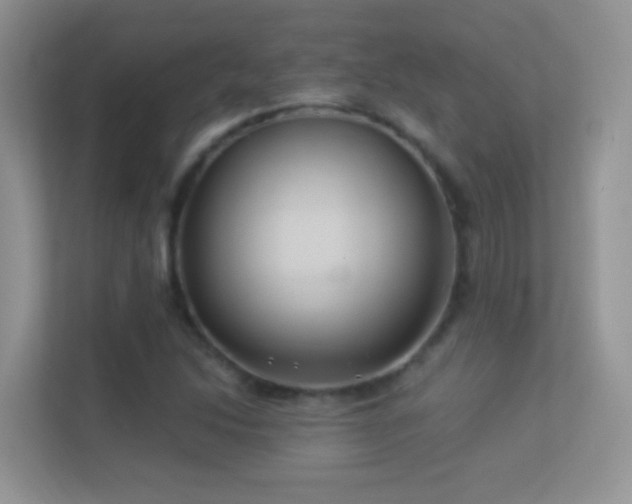 X0000113531214200909250859