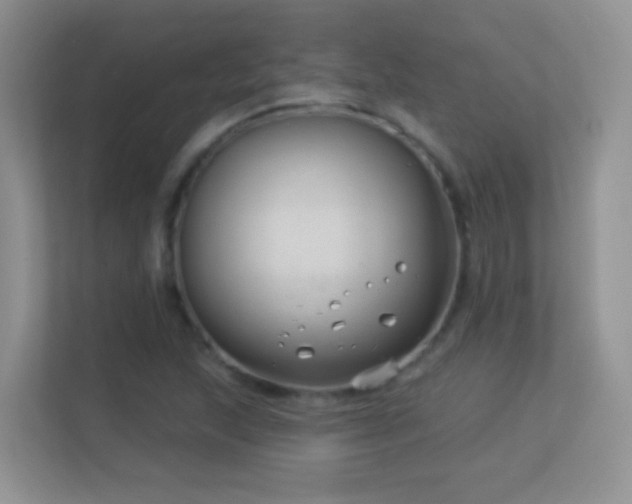 X0000113531215200909250859