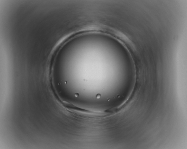 X0000113531216200909250859
