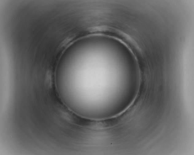 X0000113531217200909250859