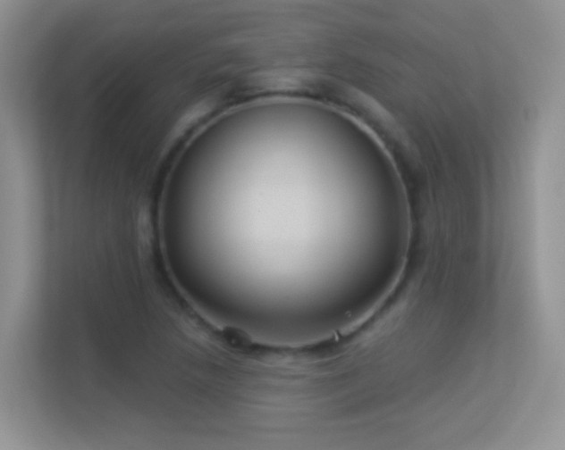 X0000113531218200909250859