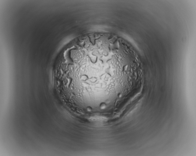 X0000113531219200909250859