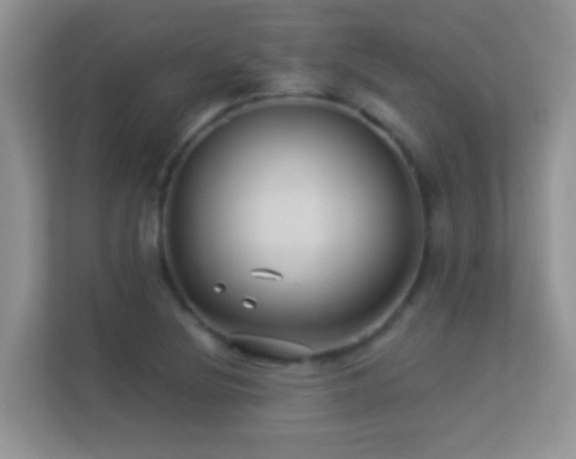 X0000113531220200909250859