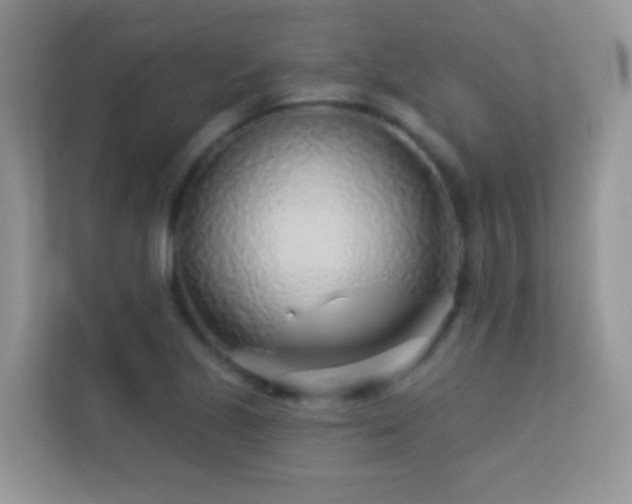 X0000113531221200909250859
