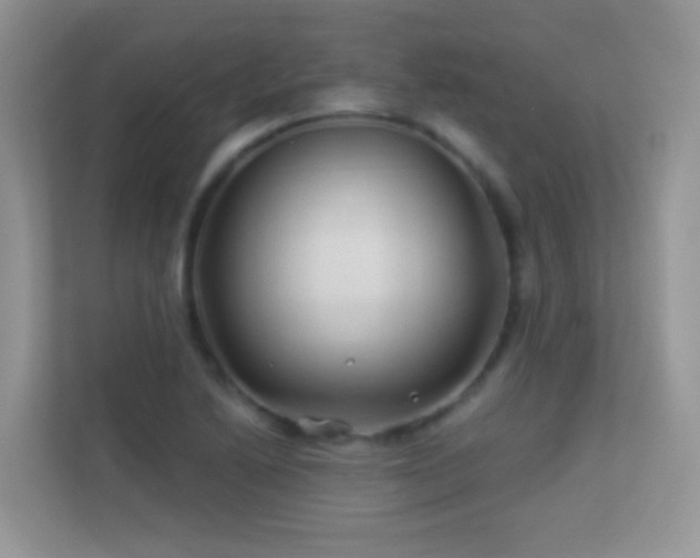 X0000113531222200909250859