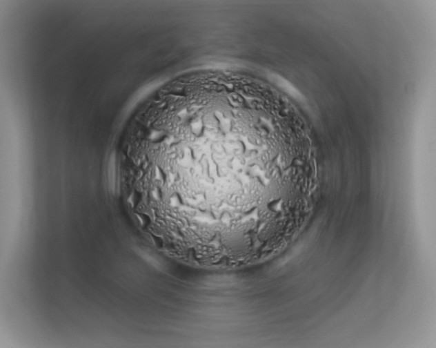 X0000113531223200909250859
