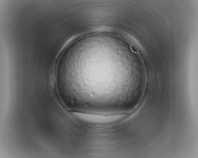 X0000113531228200909250859