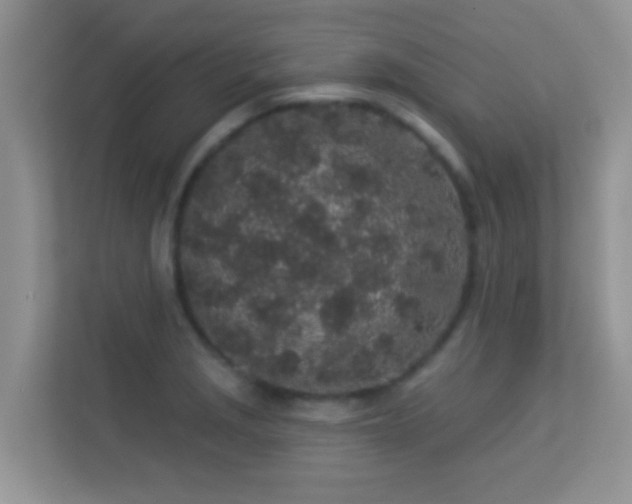 X0000113531229200909250859