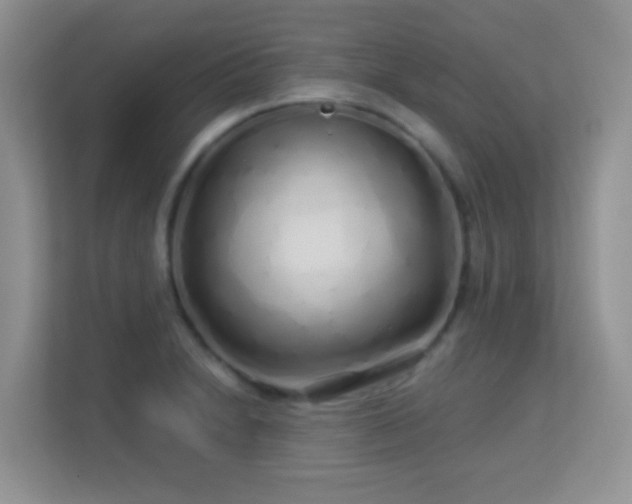 X0000113531230200909250859