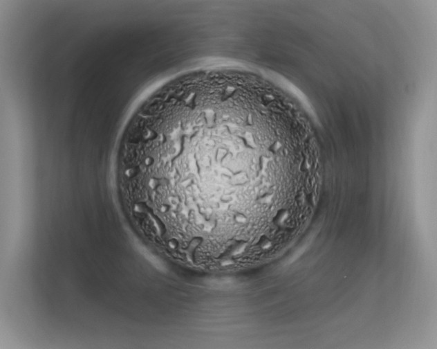 X0000113531231200909250859