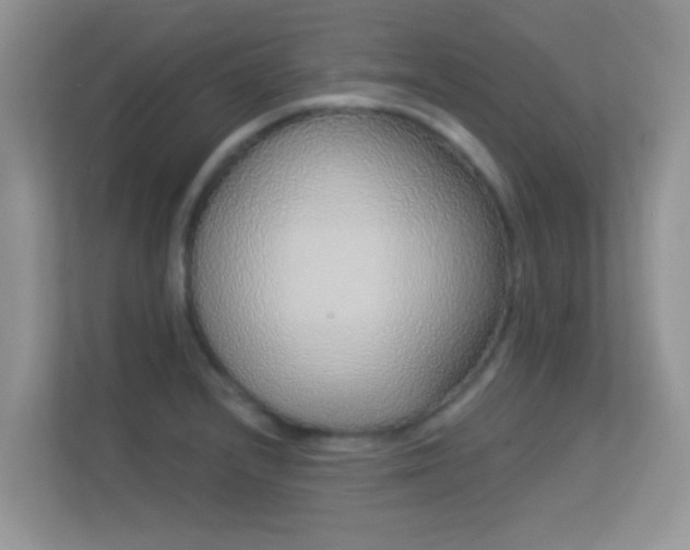 X0000113531232200909250859