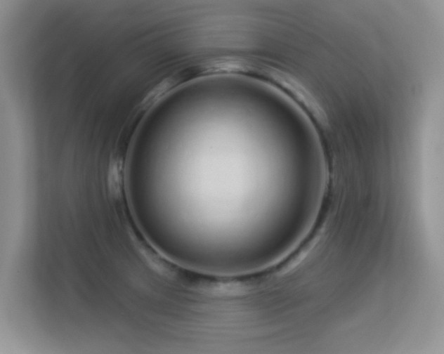 X0000113531233200909250859