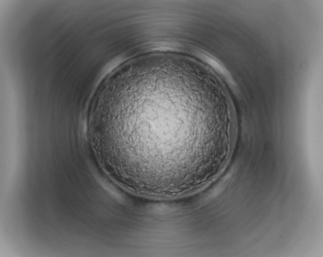 X0000113531234200909250859