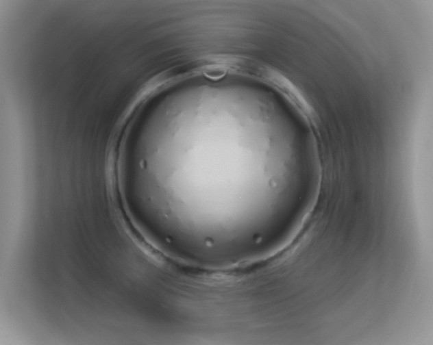 X0000113531235200909250859