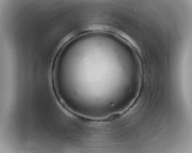 X0000113531237200909250859