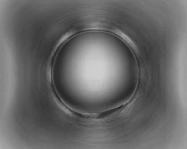 X0000113531238200909250859