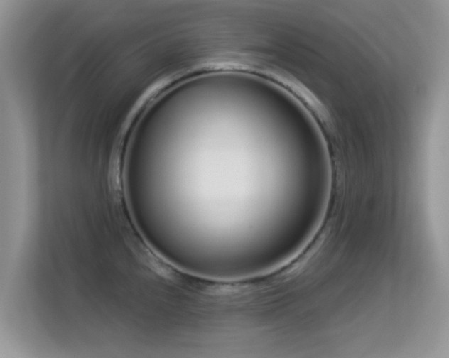 X0000113531240200909250859