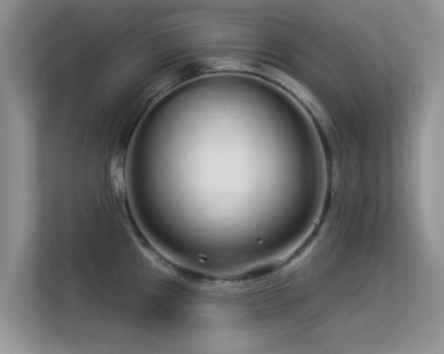 X0000113531241200909250859