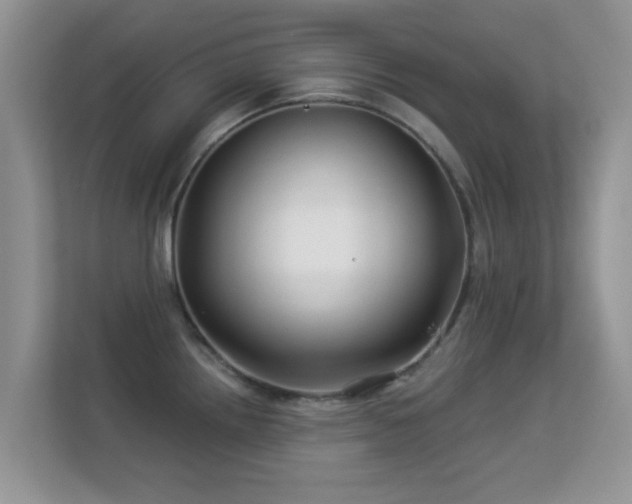 X0000113531242200909250859