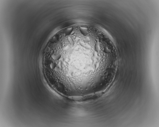 X0000113531243200909250859